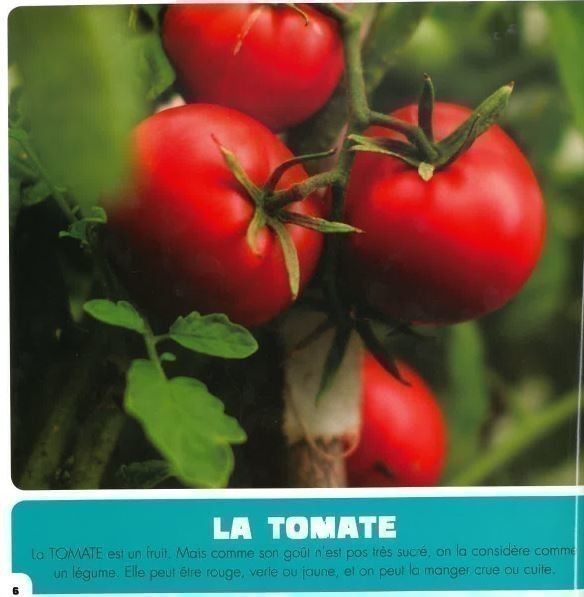 Mon Premier Doc Photo  - Mes Premiers Aliments