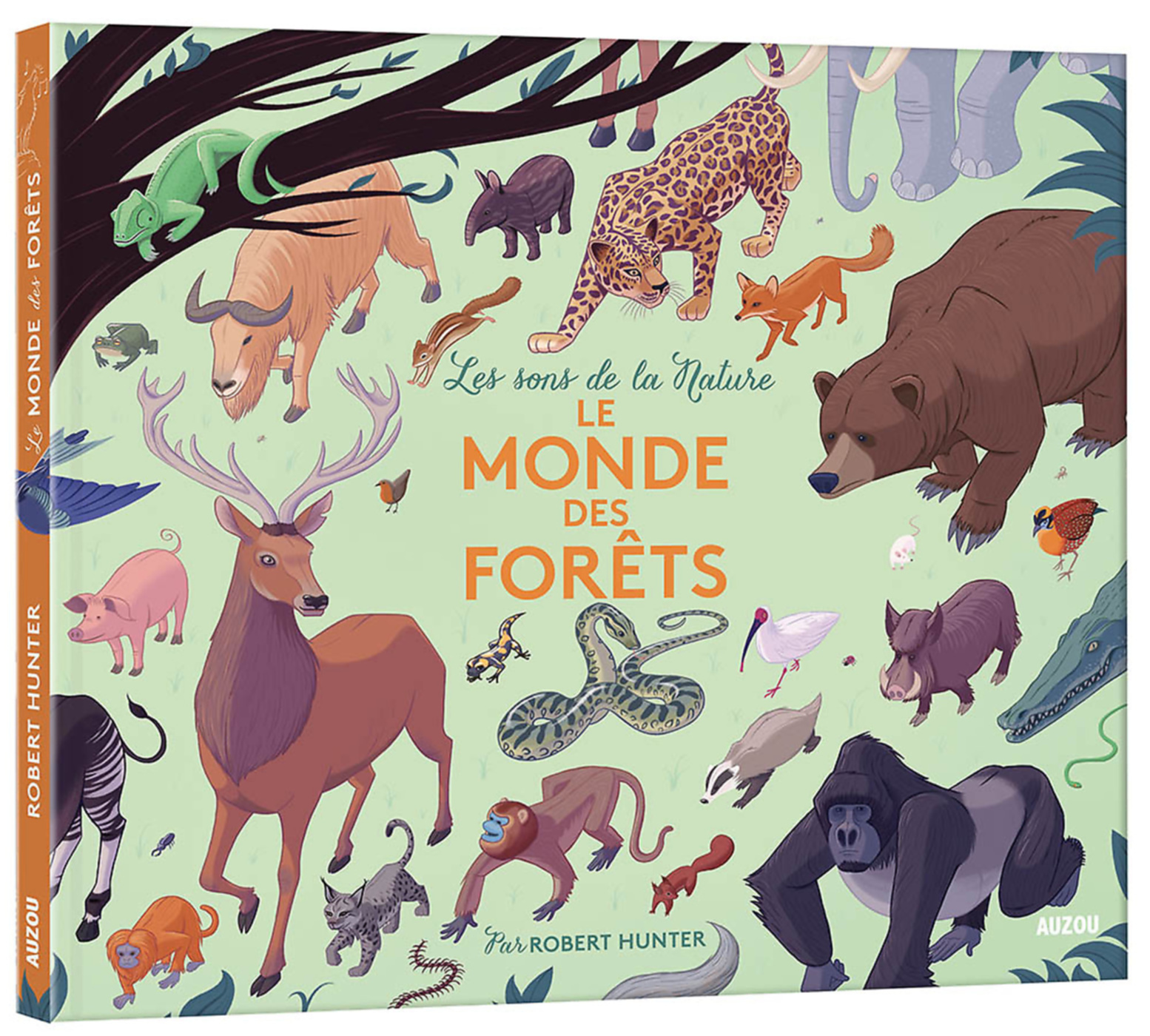 Le Monde Des Forêts