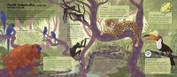 Le Monde Des Forêts