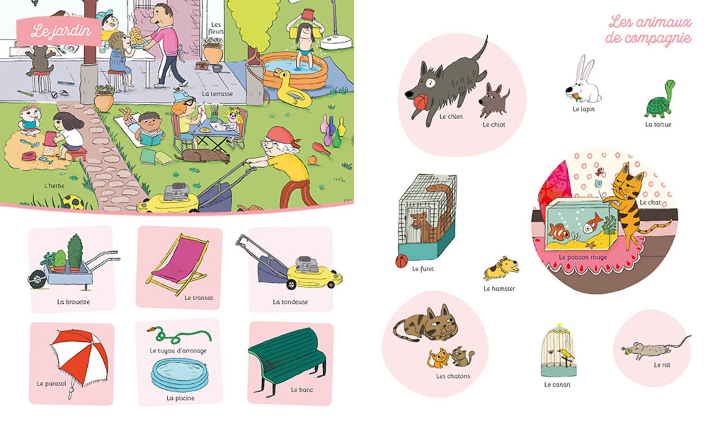 Mes 500 Mots À Découvrir