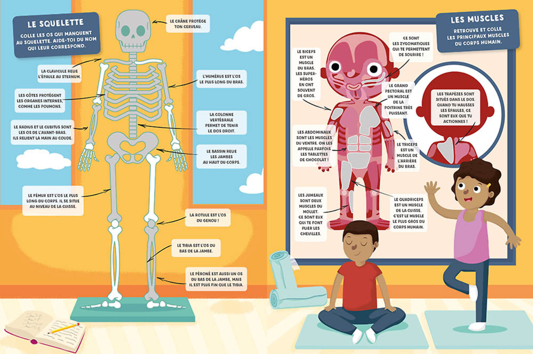 Mes Autocollants Malins Educatifs - Le Corps Humain