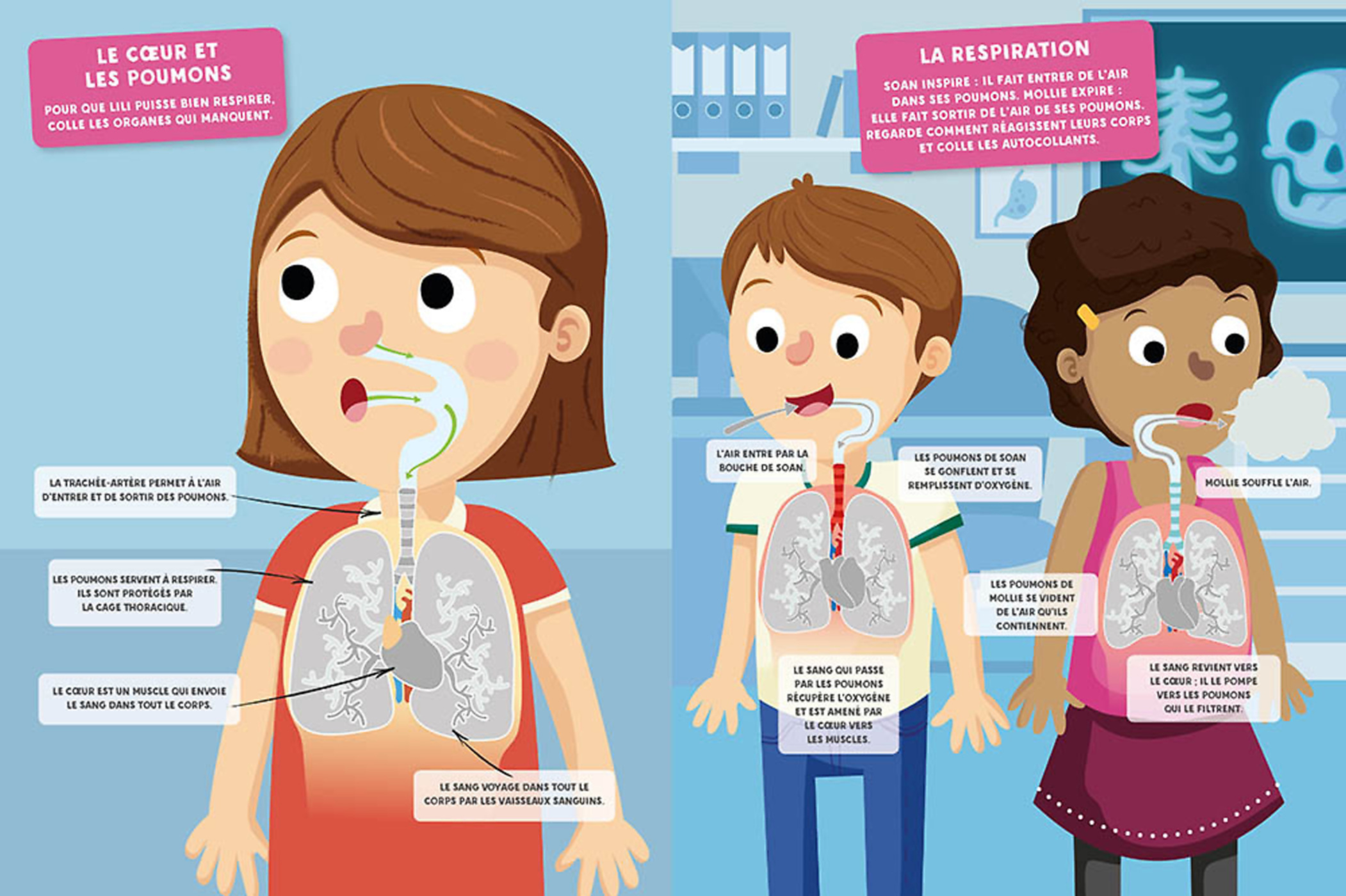 Mes Autocollants Malins Educatifs - Le Corps Humain