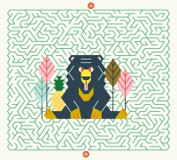 Ma Pochette De Jeux - 20 Labyrinthes Au Coeur De La Jungle