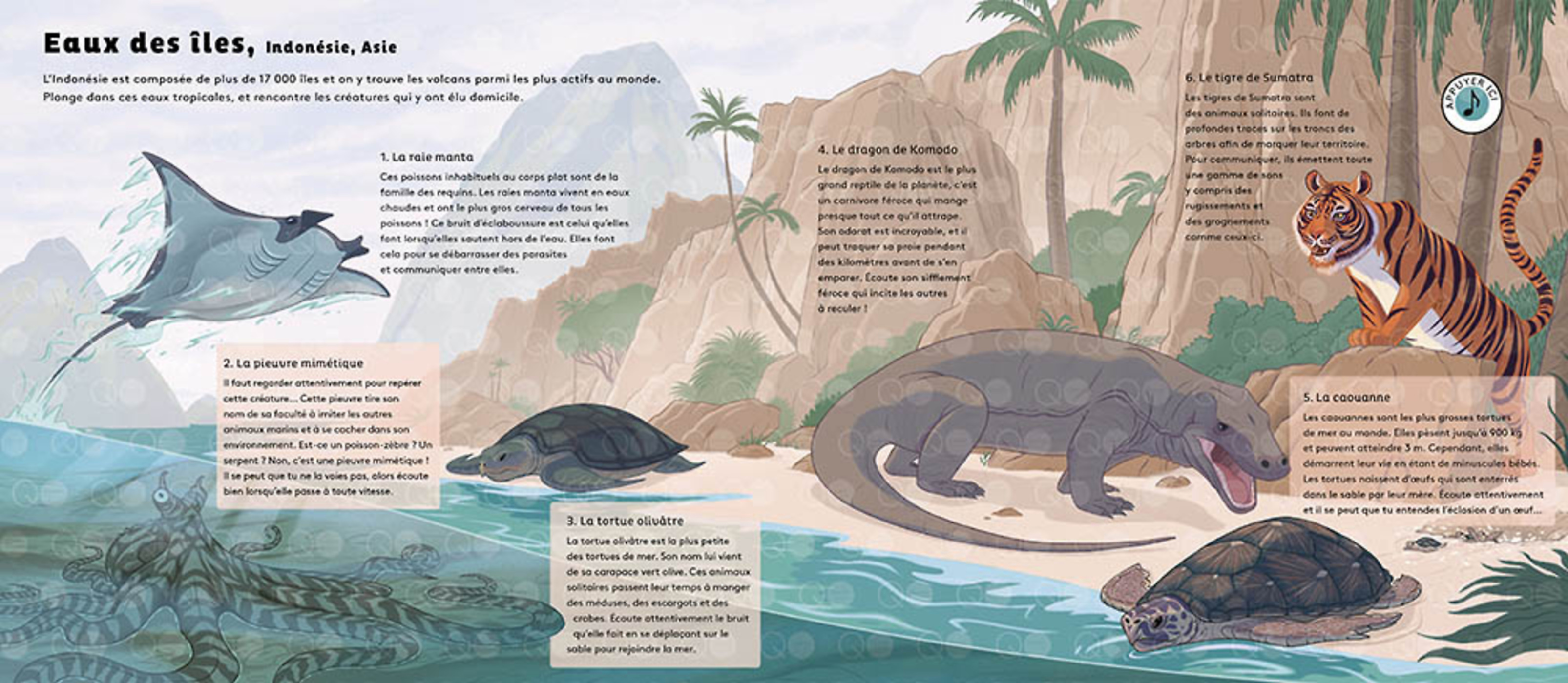 Le Monde Des Océans