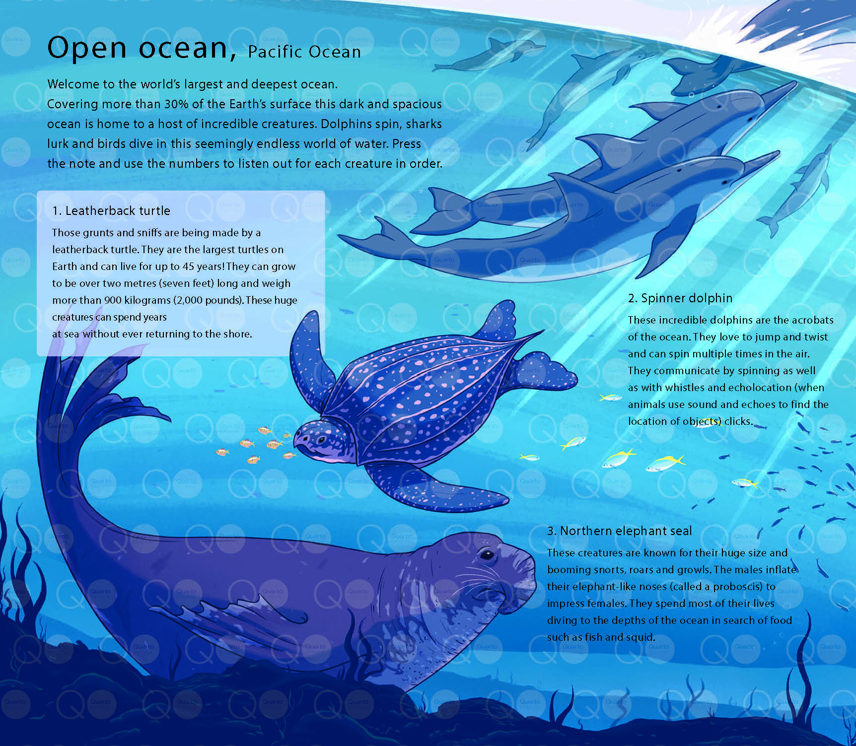 Le Monde Des Océans