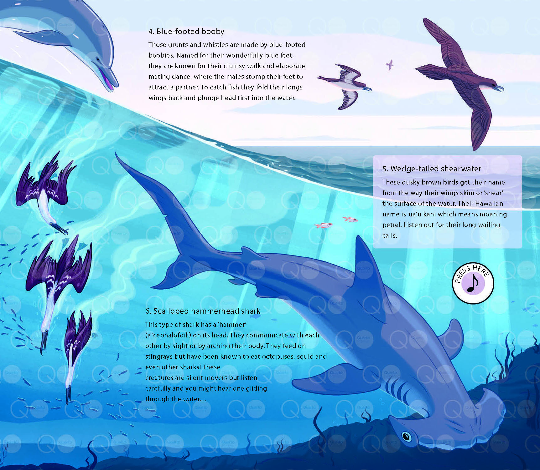 Le Monde Des Océans