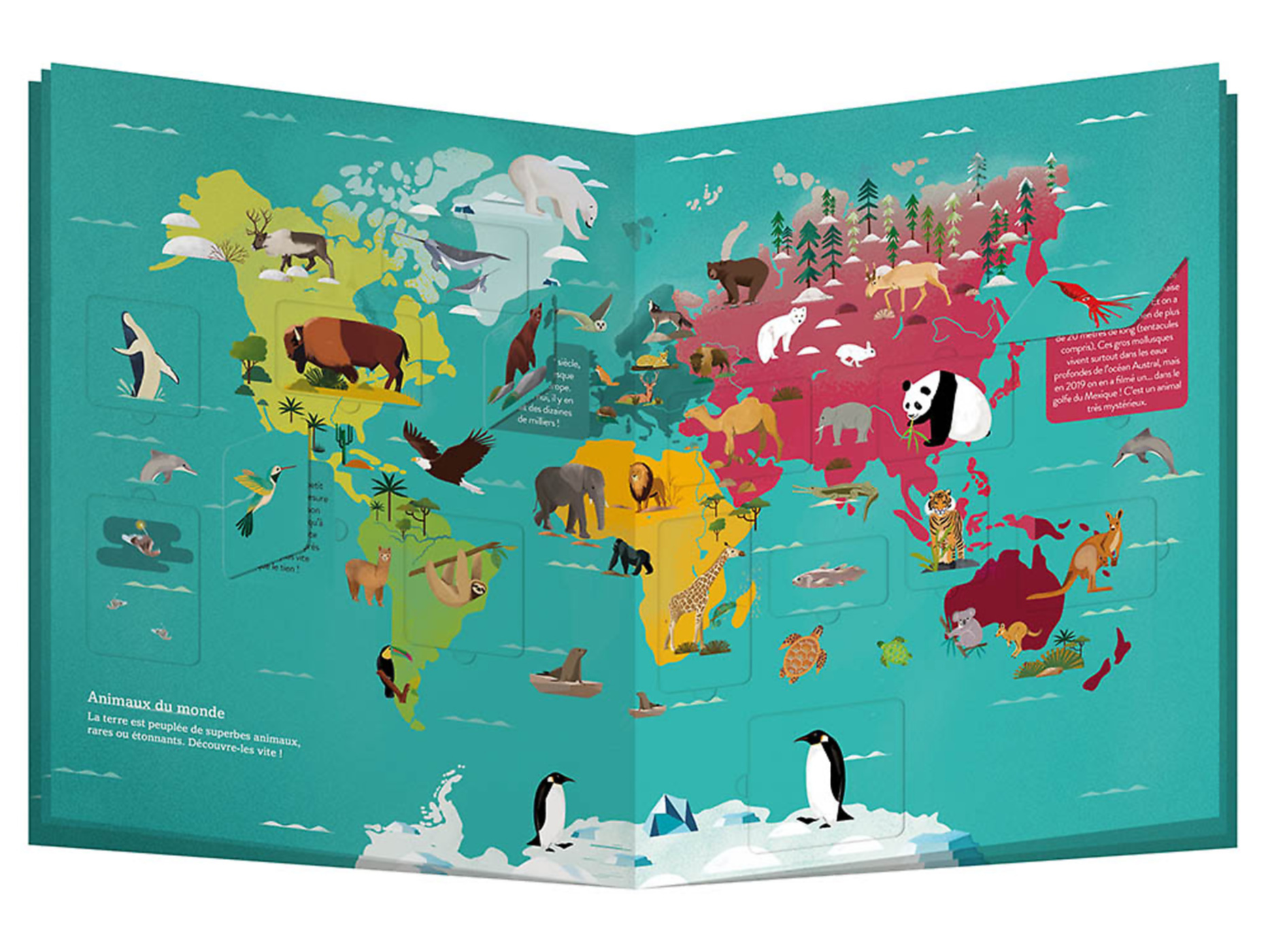 Mon Atlas Du Monde