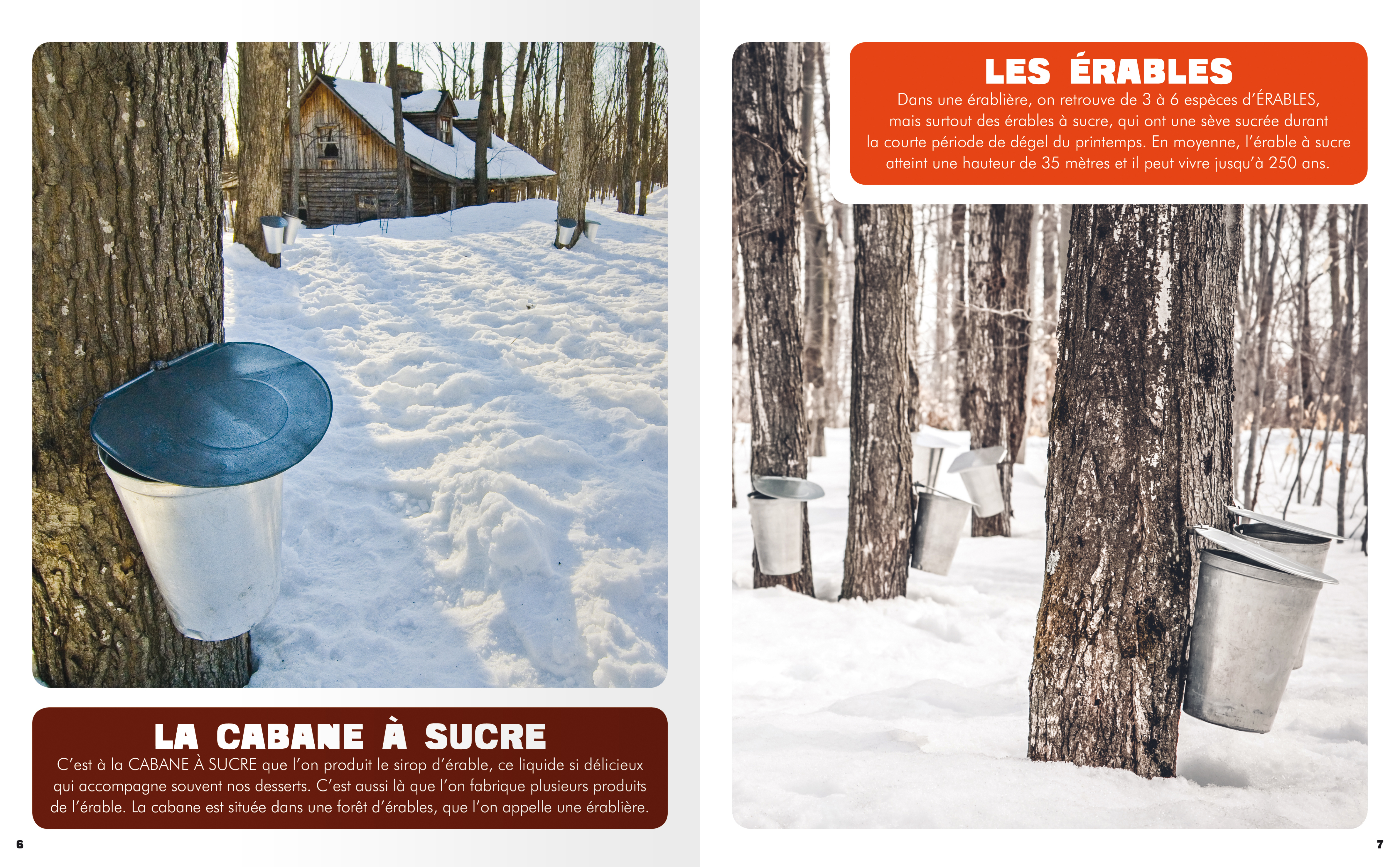 Mon Premier Doc Photo - Mon Premier Doc: La Cabane À Sucre