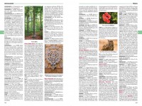 Dictionnaire Encyclopédique Auzou 2020