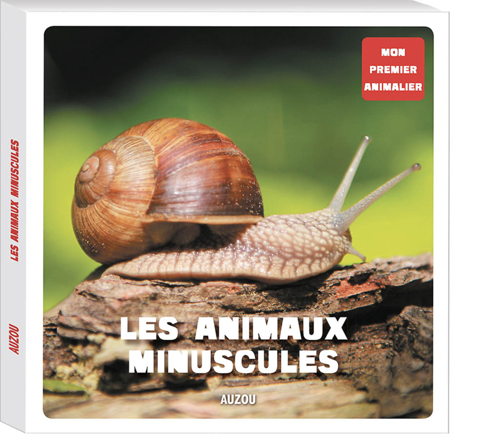 Mon Premier Doc Photo - Les Animaux Minuscules