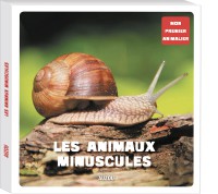 Mon premier doc photo - Les animaux minuscules