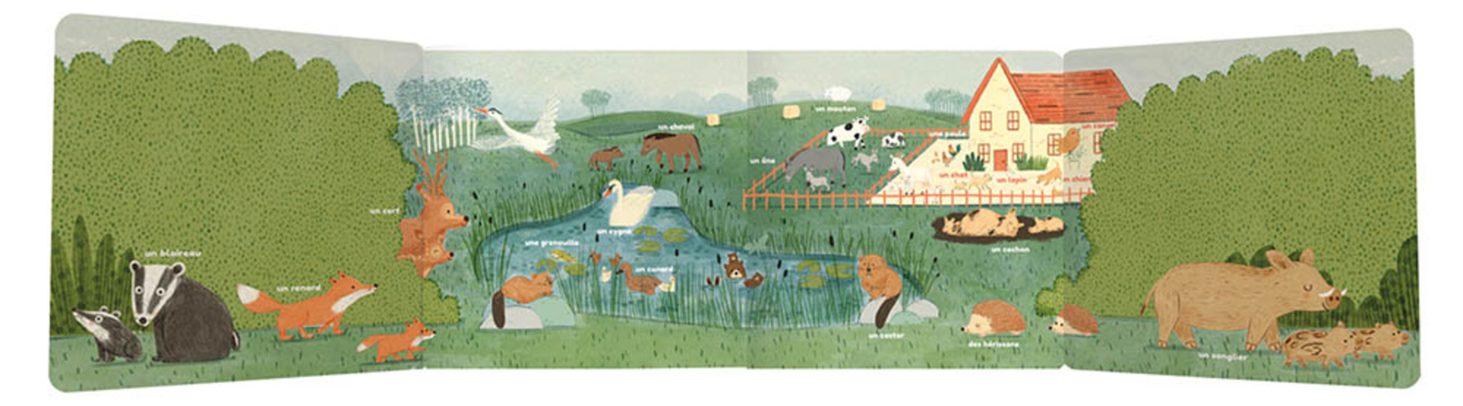 Les Animaux