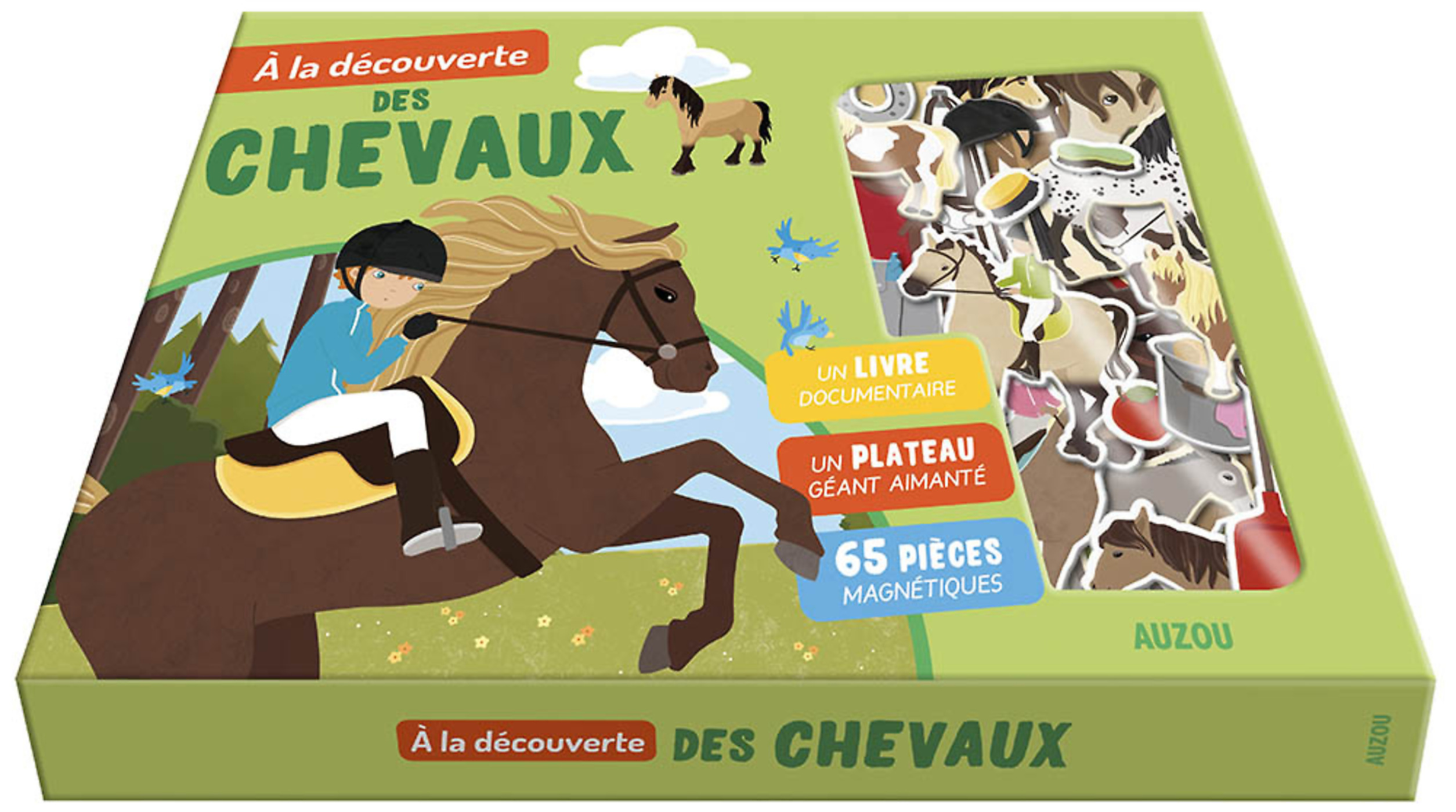 A La Découverte Des Chevaux