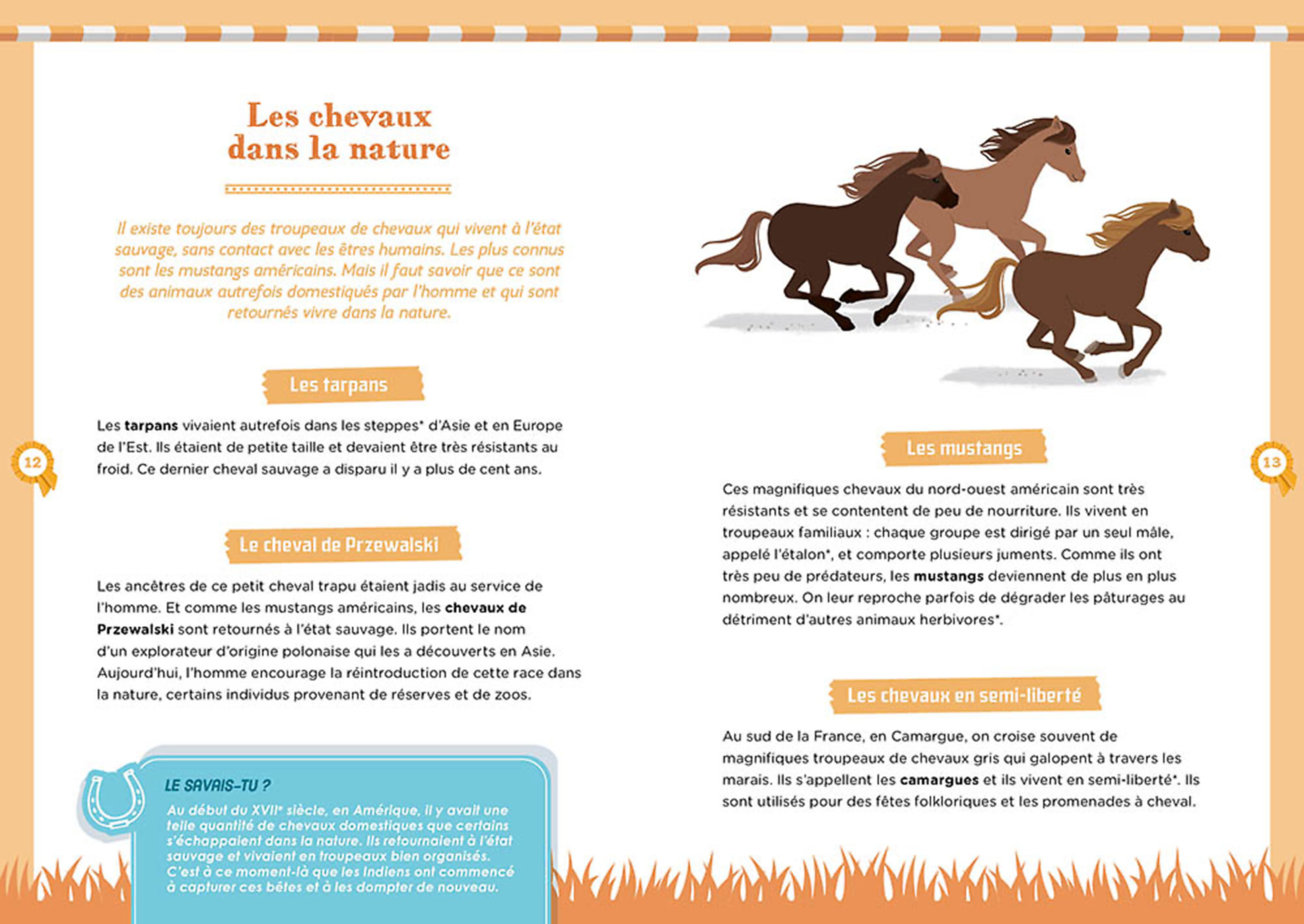 A La Découverte Des Chevaux A La Découverte Des Chevaux