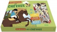 A la découverte des chevaux