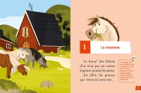 Bienvenue Au Poney-Club - Le Nouveau Bienvenue Au Poney-Club - Le Nouveau