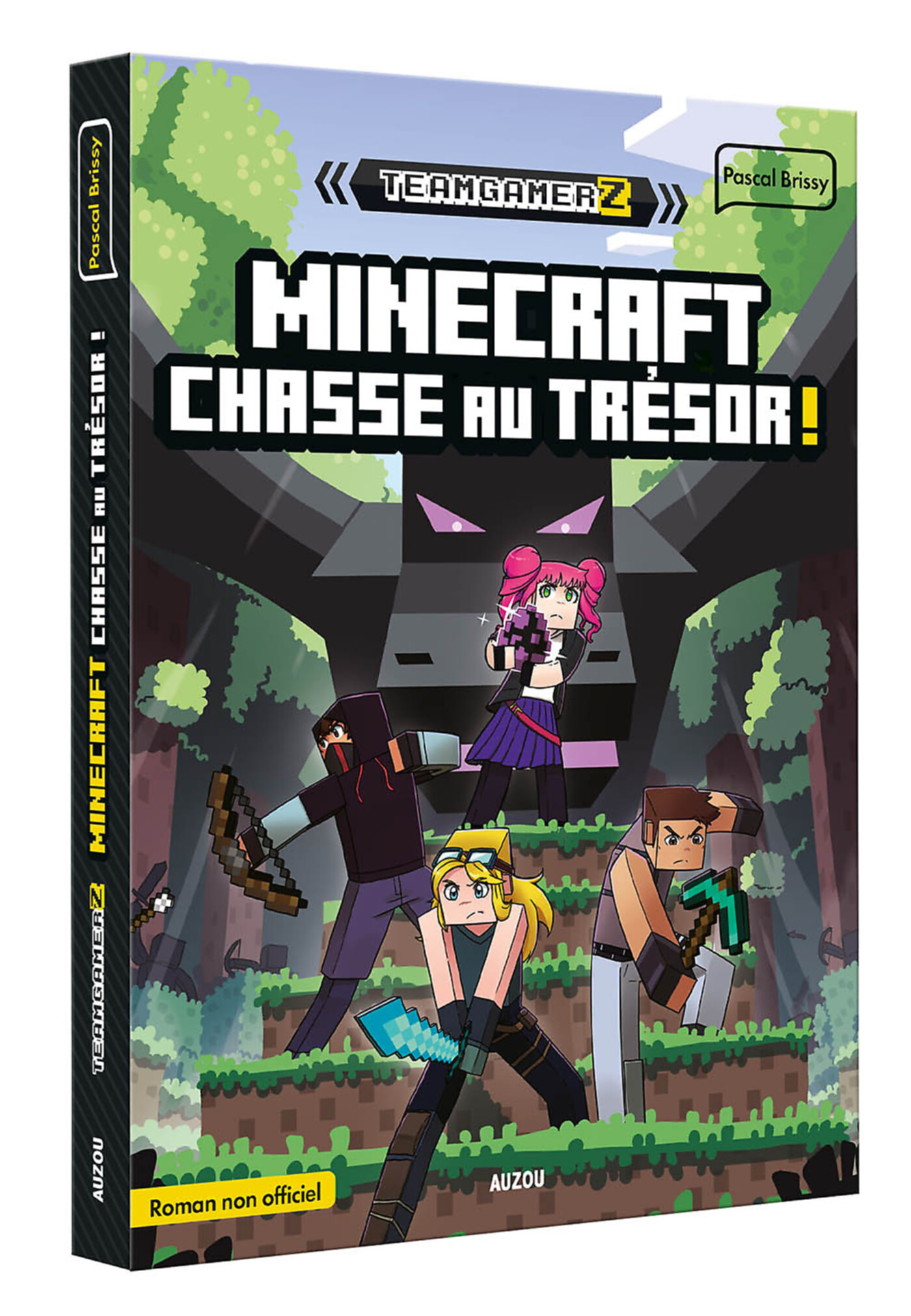 Team Gamerz - Team Gamerz - Minecraft : Chasse Au Trésor