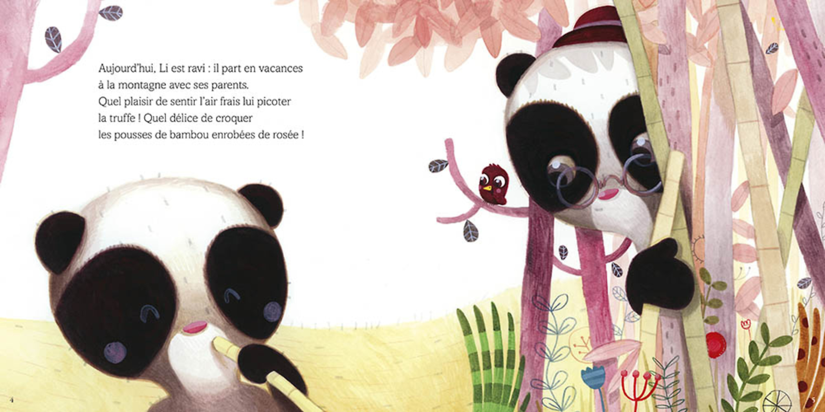 Petit Panda Cherche Un Ami Petit Panda Cherche Un Ami
