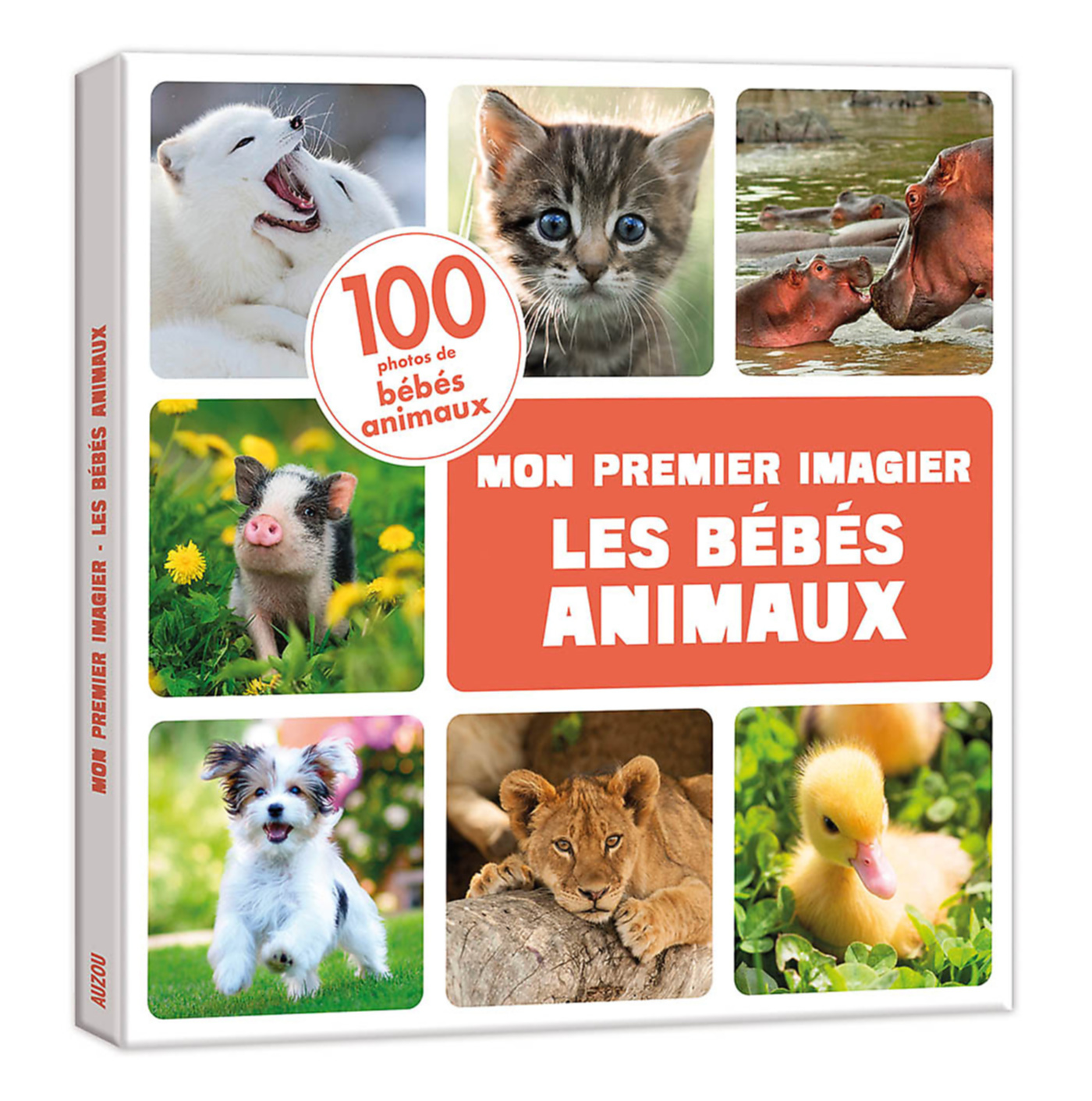 Mon Premier Doc Photo  - Les Bébés Animaux