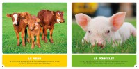 Mon Premier Doc Photo  - Les Bébés Animaux