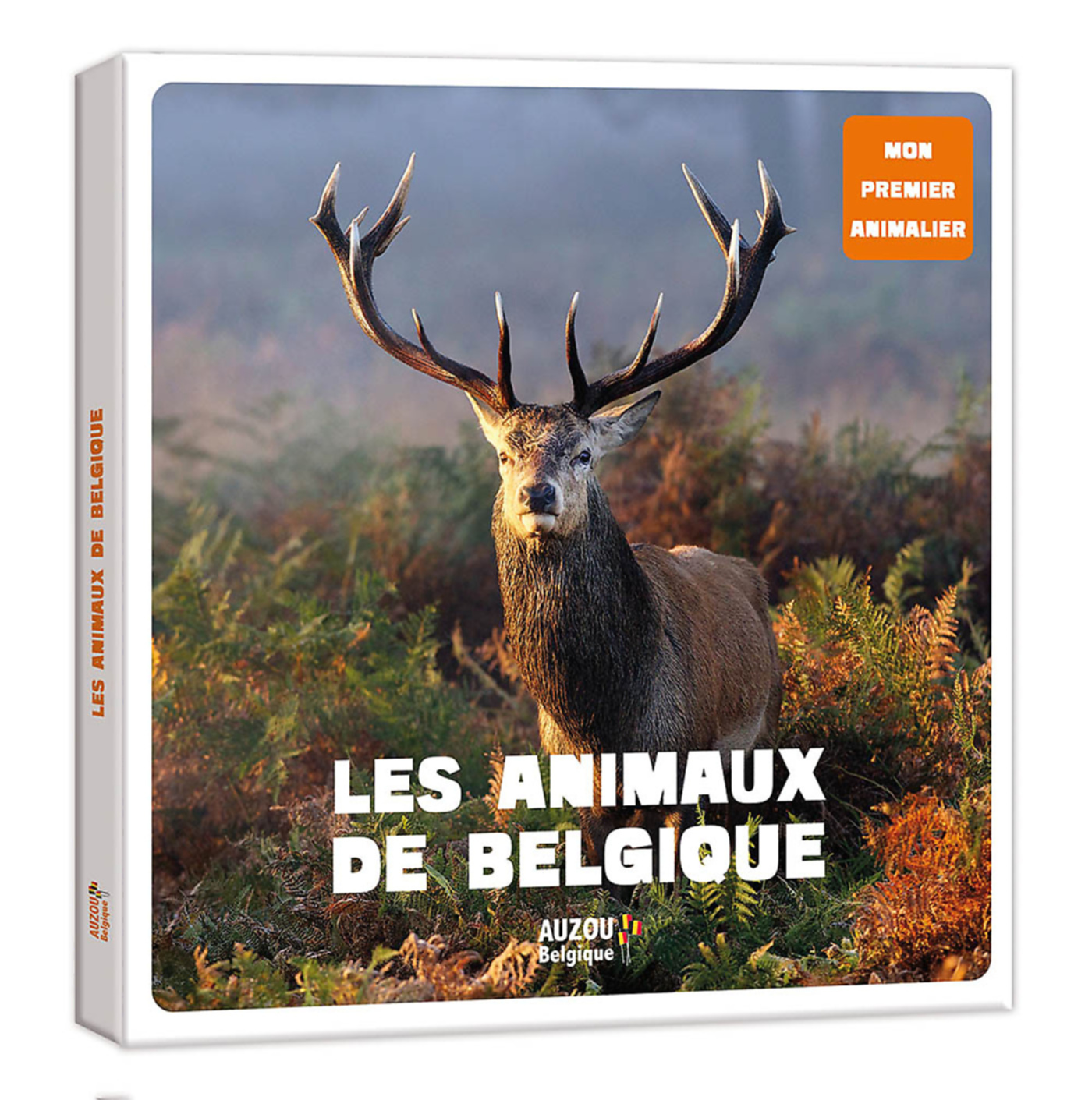 Les Animaux De Belgique Les Animaux De Belgique