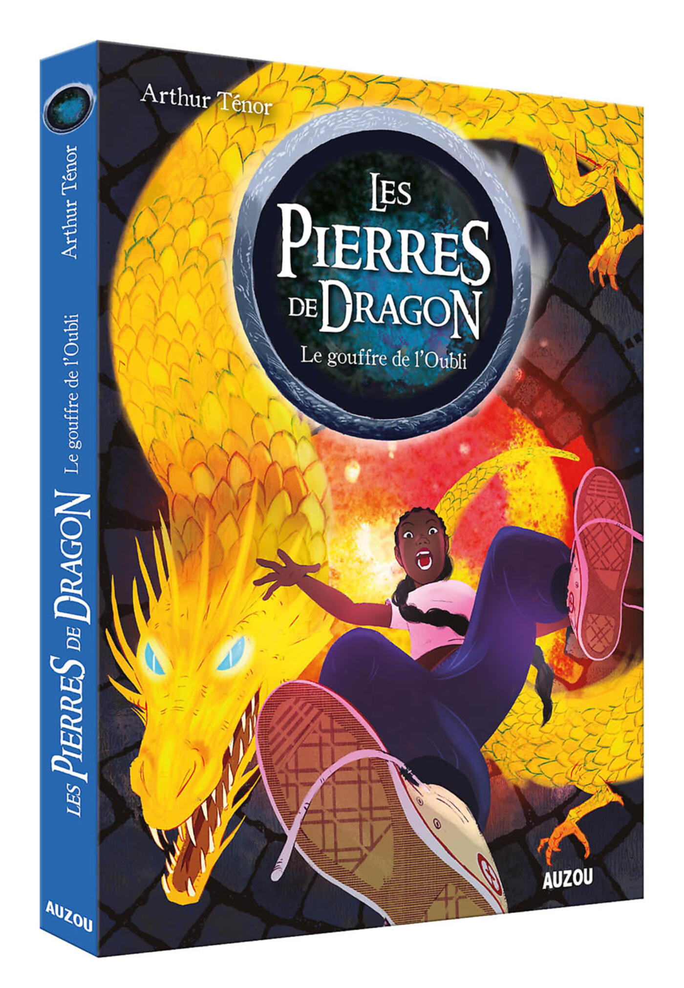 Les Pierres De Dragon Tome 2 - Le Gouffre De L'oubli