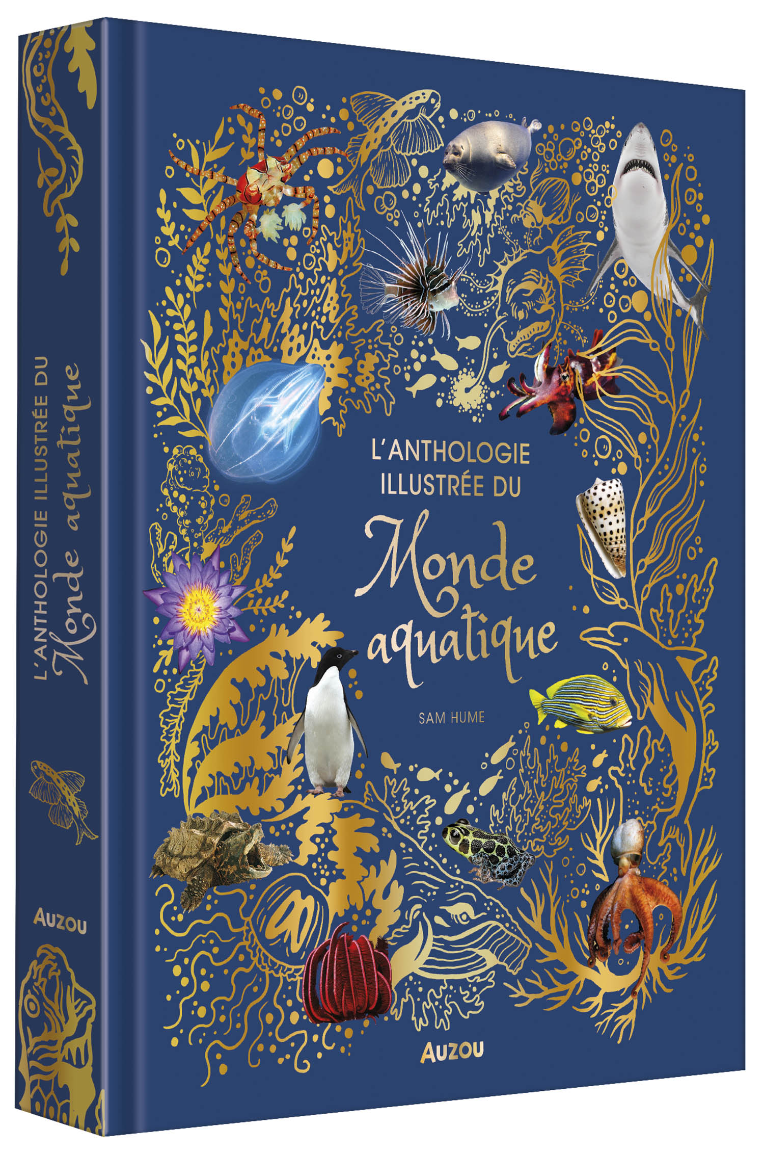 L'anthologie Illustrée Du Monde Aquatique