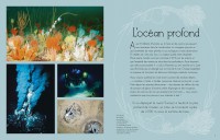 L'anthologie Illustrée Du Monde Aquatique