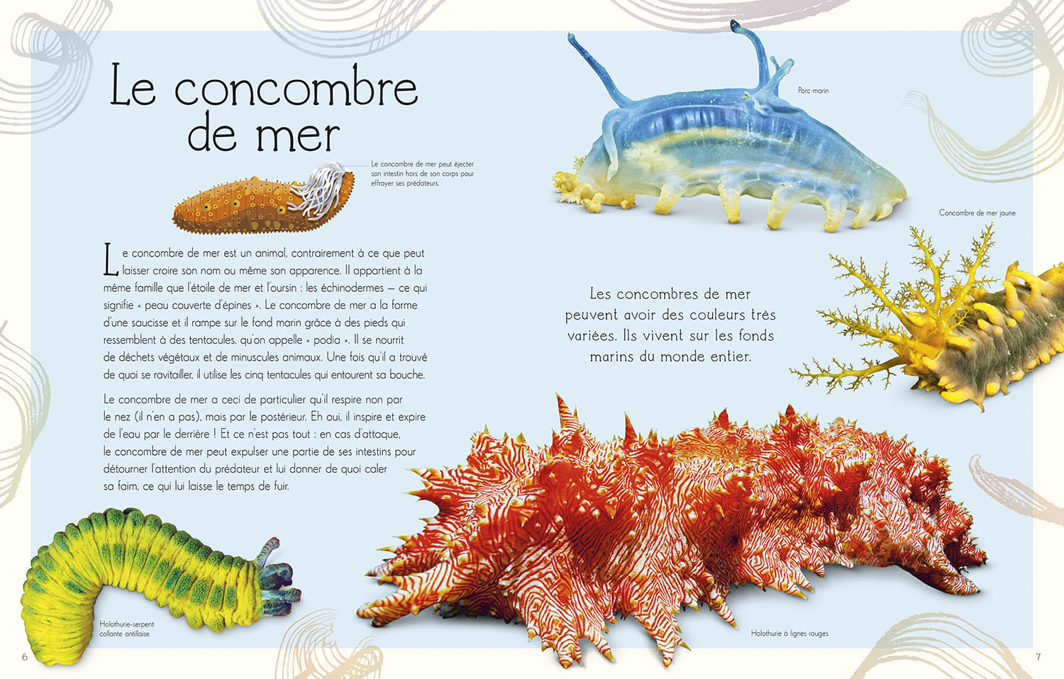 L'anthologie Illustrée Du Monde Aquatique