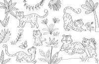 Les Animaux Du Monde