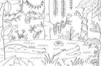 Les Animaux Du Monde Les Animaux Du Monde