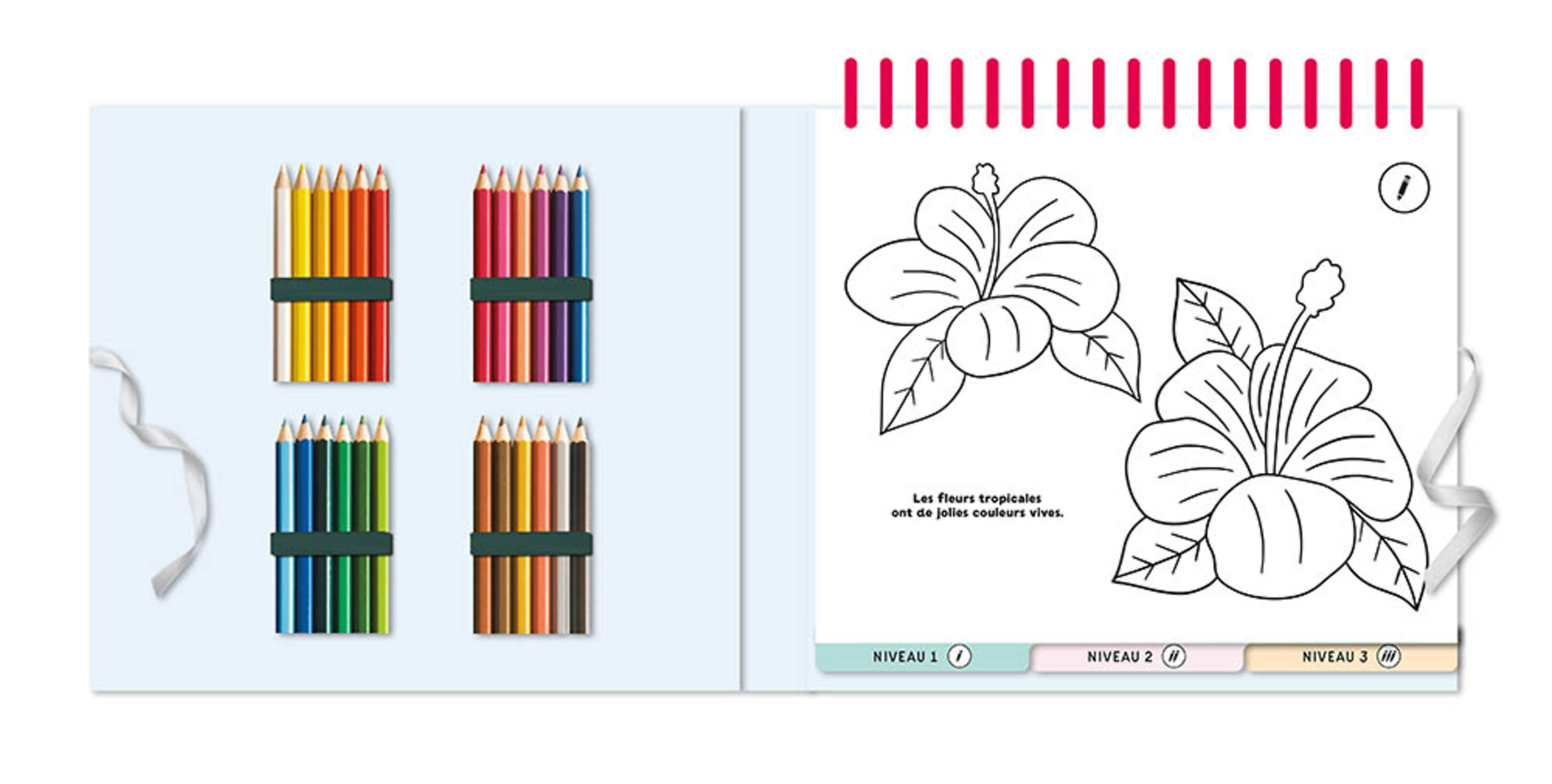 50 Coloriages Relaxants Nature