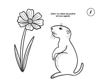 50 Coloriages Relaxants Nature