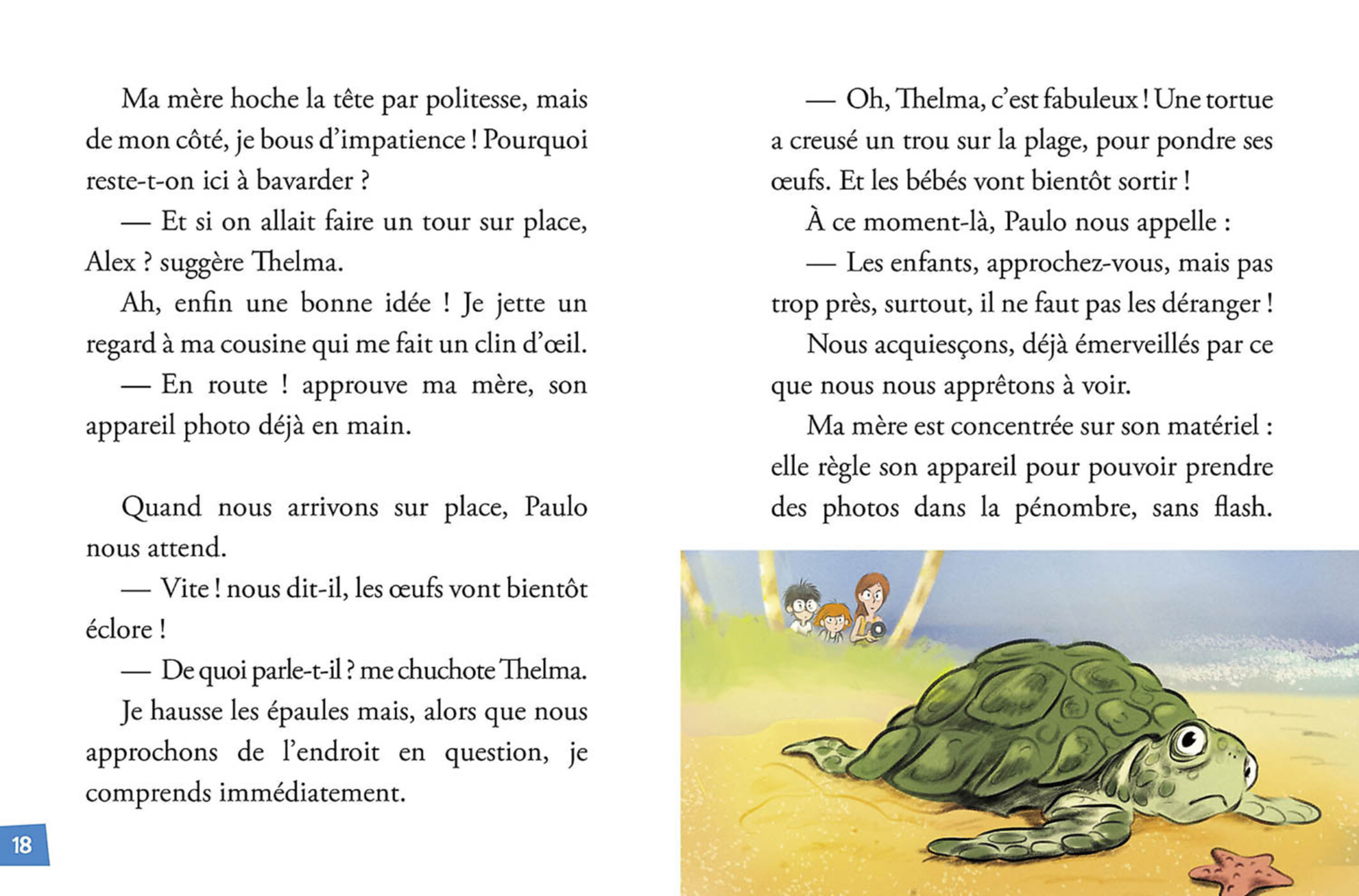 Mission Animaux - Sos Tortues À La Dérive