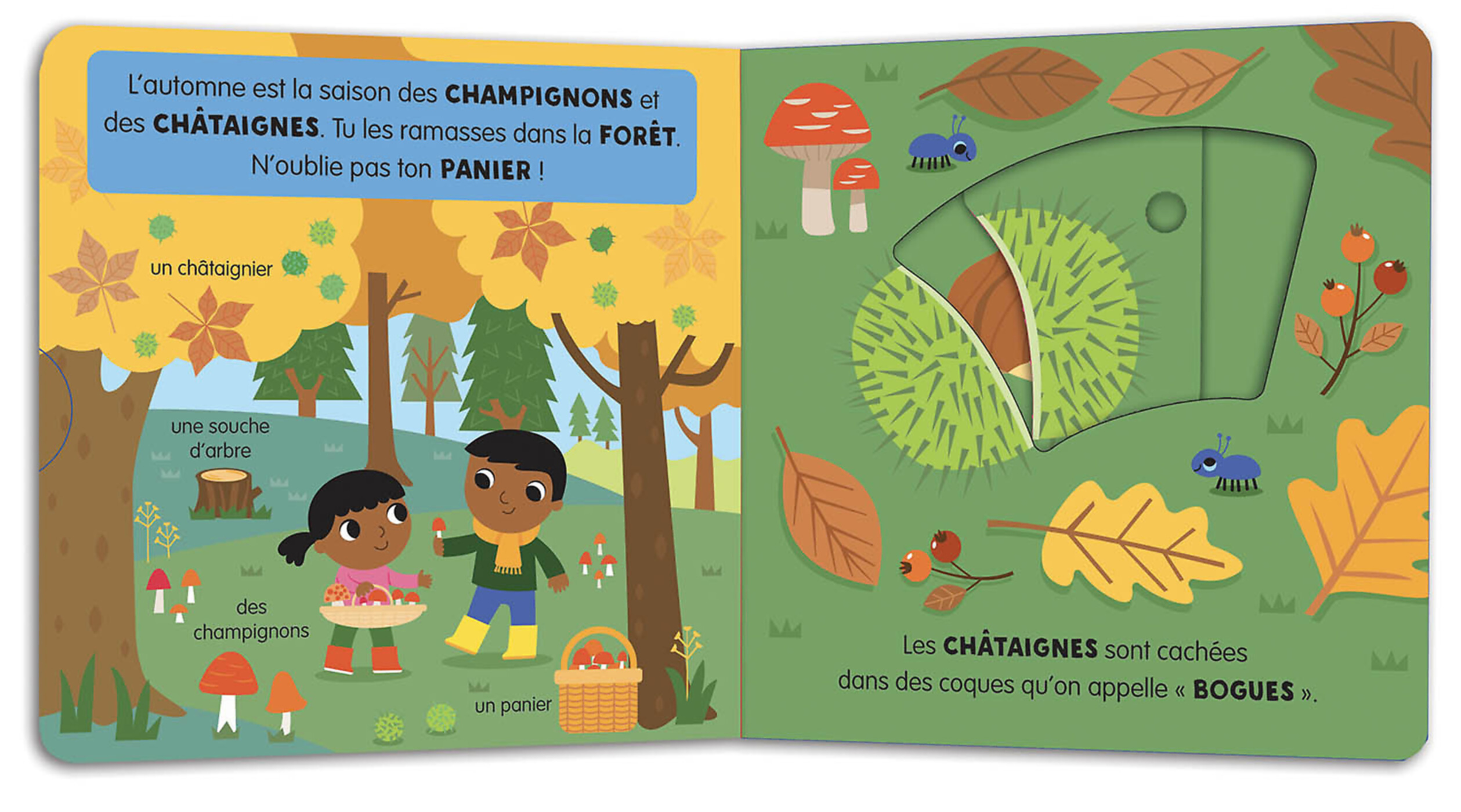 Mon Anim'agier - L'automne