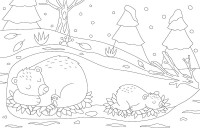 Joli Hiver