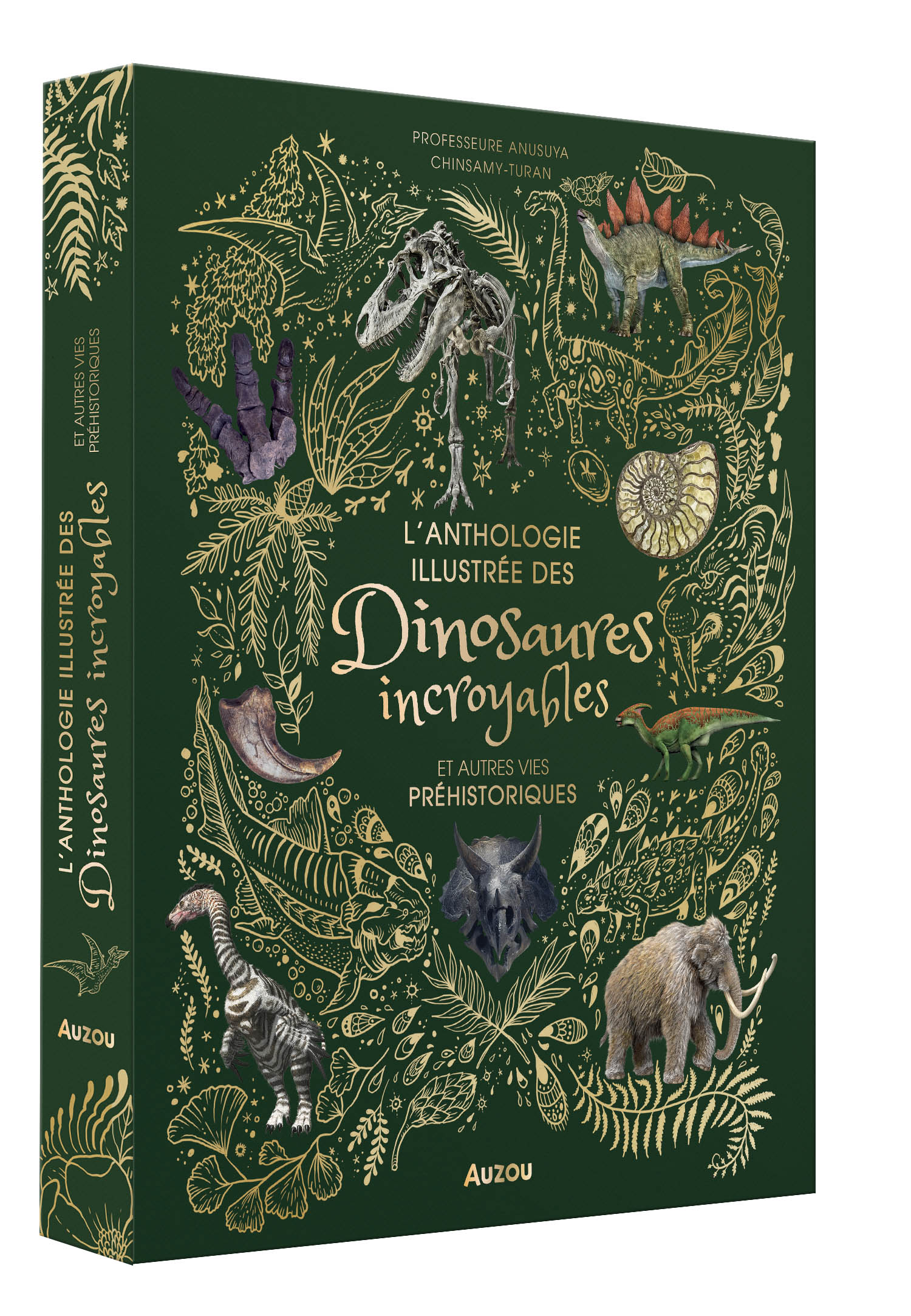 L'anthologie Illustrée Des Dinosaures Incroyables Et Autres Vies Préhistoriques