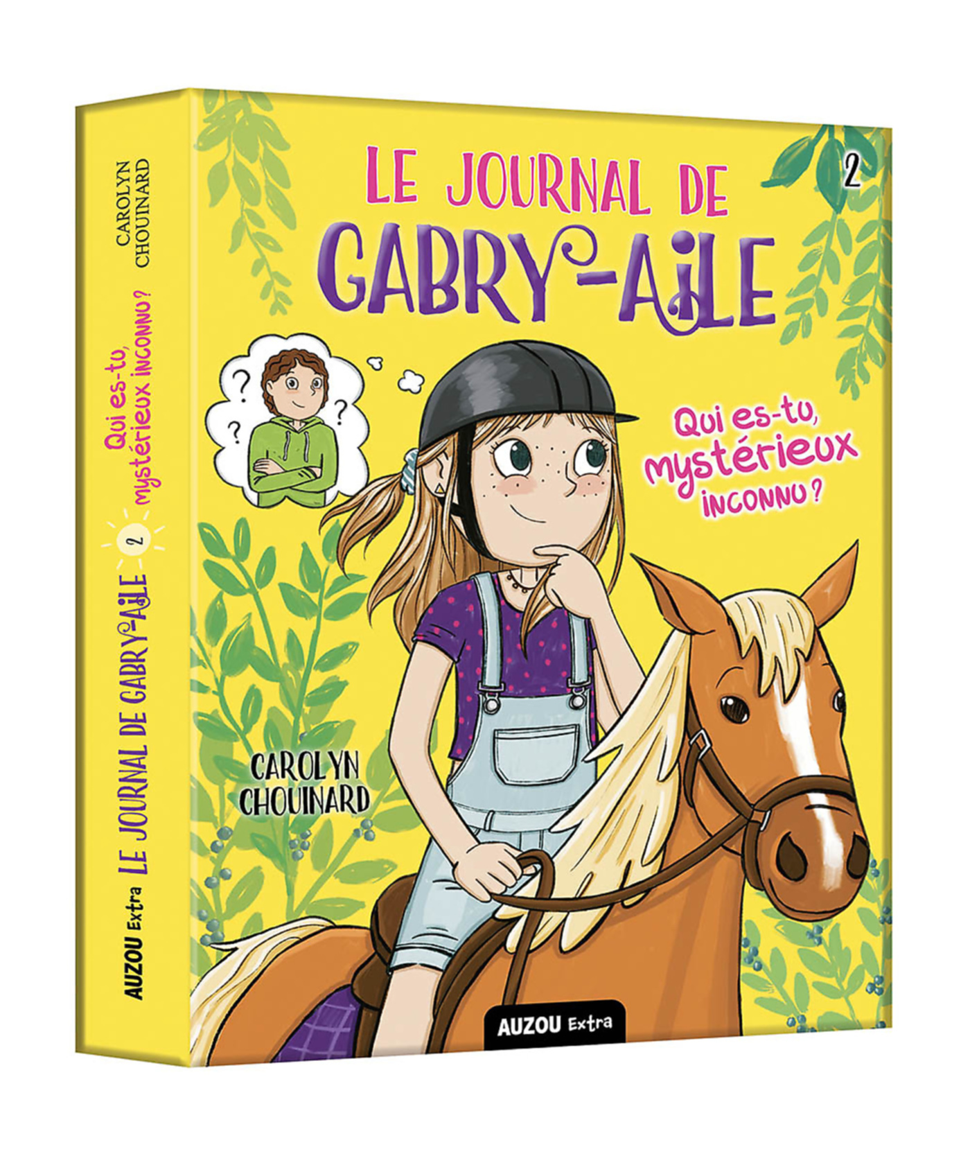 Le Journal De Gabry-Aile - Qui Es-Tu, Mystérieux Inconnu ?