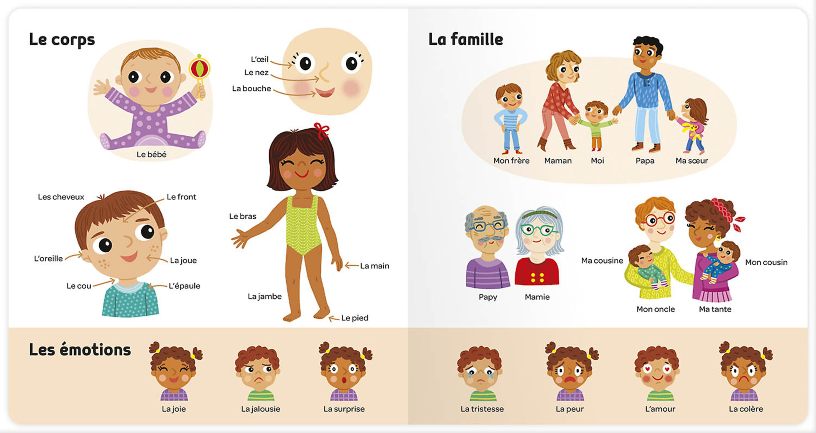 Imagier Des Tout-Petits - Mes 500 Tout Premiers Mots (Canada)