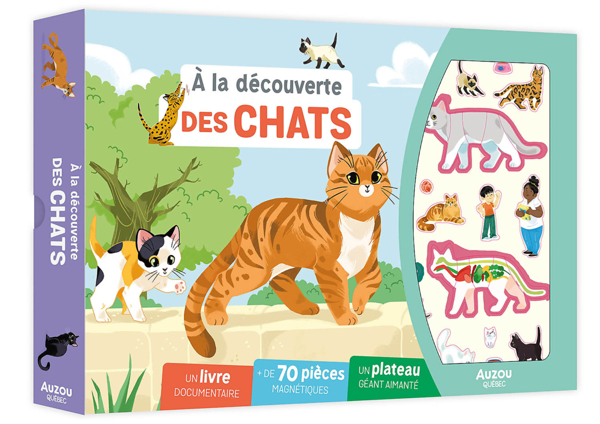 Mbs : À La Découverte Des Chats