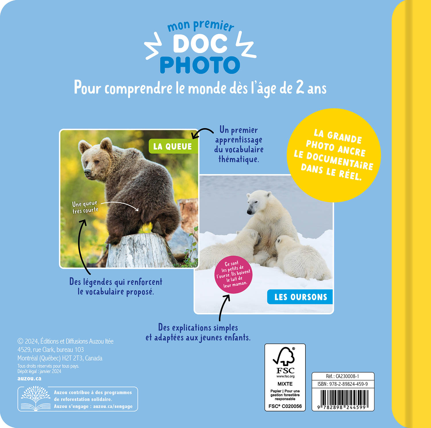 Mon Premier Doc Photo - Les Ours