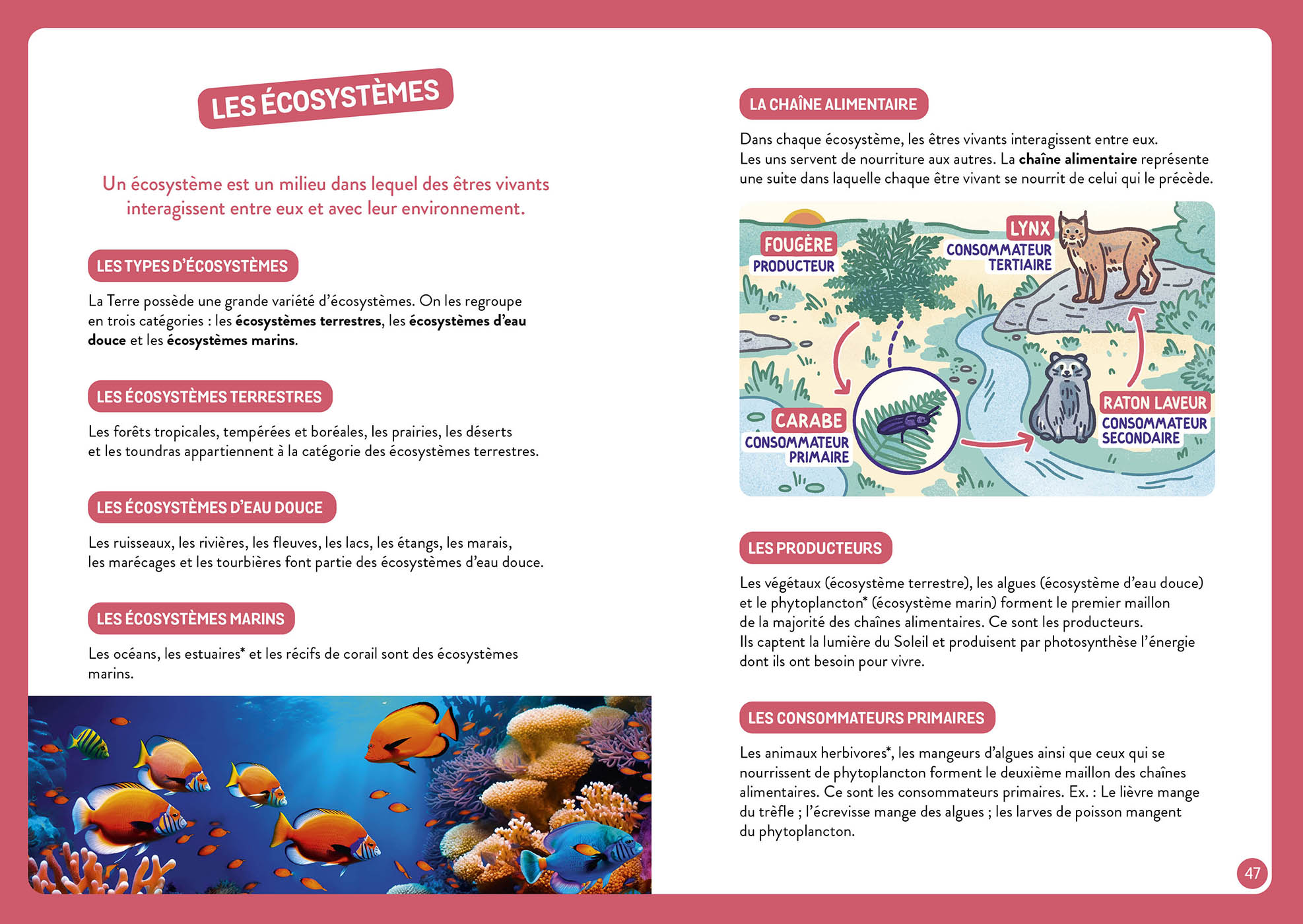 À La Découverte De La Terre À La Découverte De La Terre