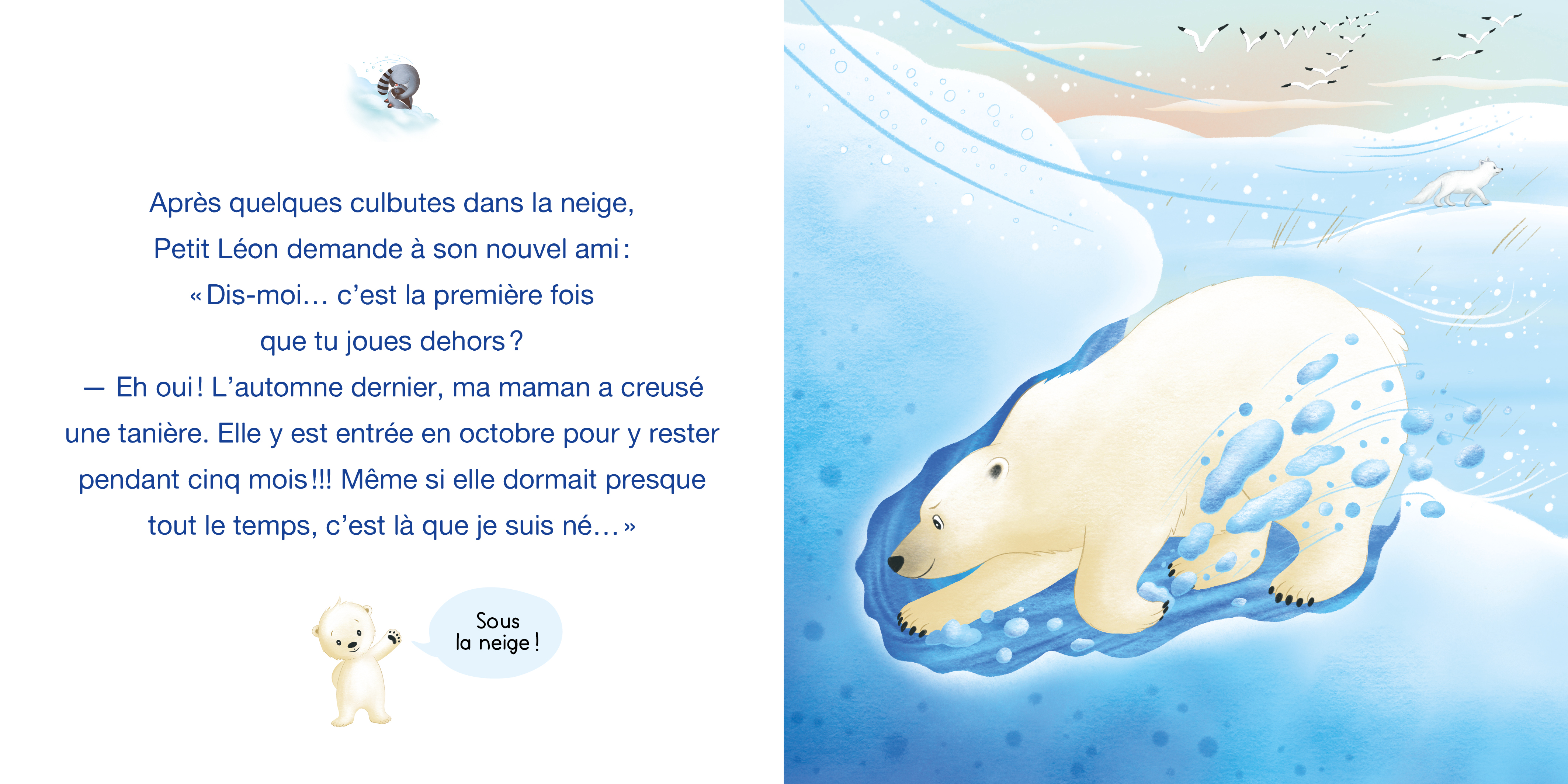 Petit Léon Et L'ourson Polaire