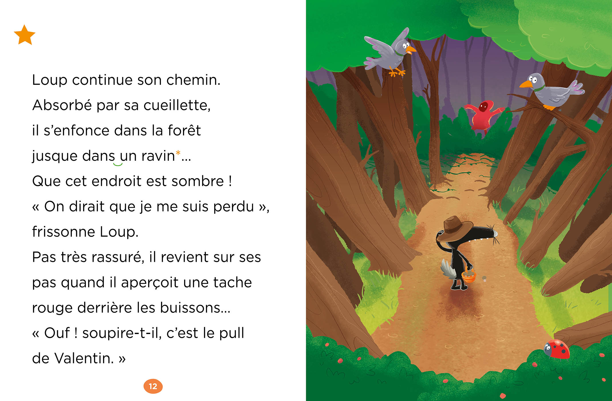 Mes Lectures Du Cp Avec Loup - Mes Lectures De 2E Année Avec Loup - Loup S'est Perdu Mes Lectures Du Cp Avec Loup - Mes Lectures De 2E Année Avec Loup - Loup S'est Perdu