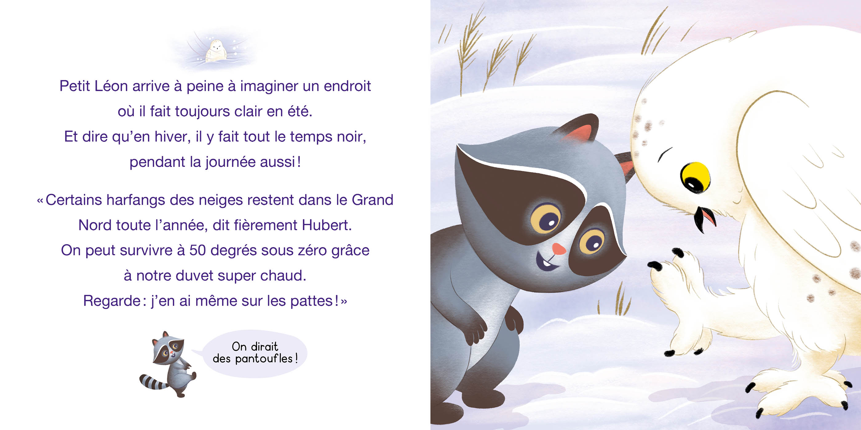 Petit Léon Et Le Harfang Des Neiges Petit Léon Et Le Harfang Des Neiges