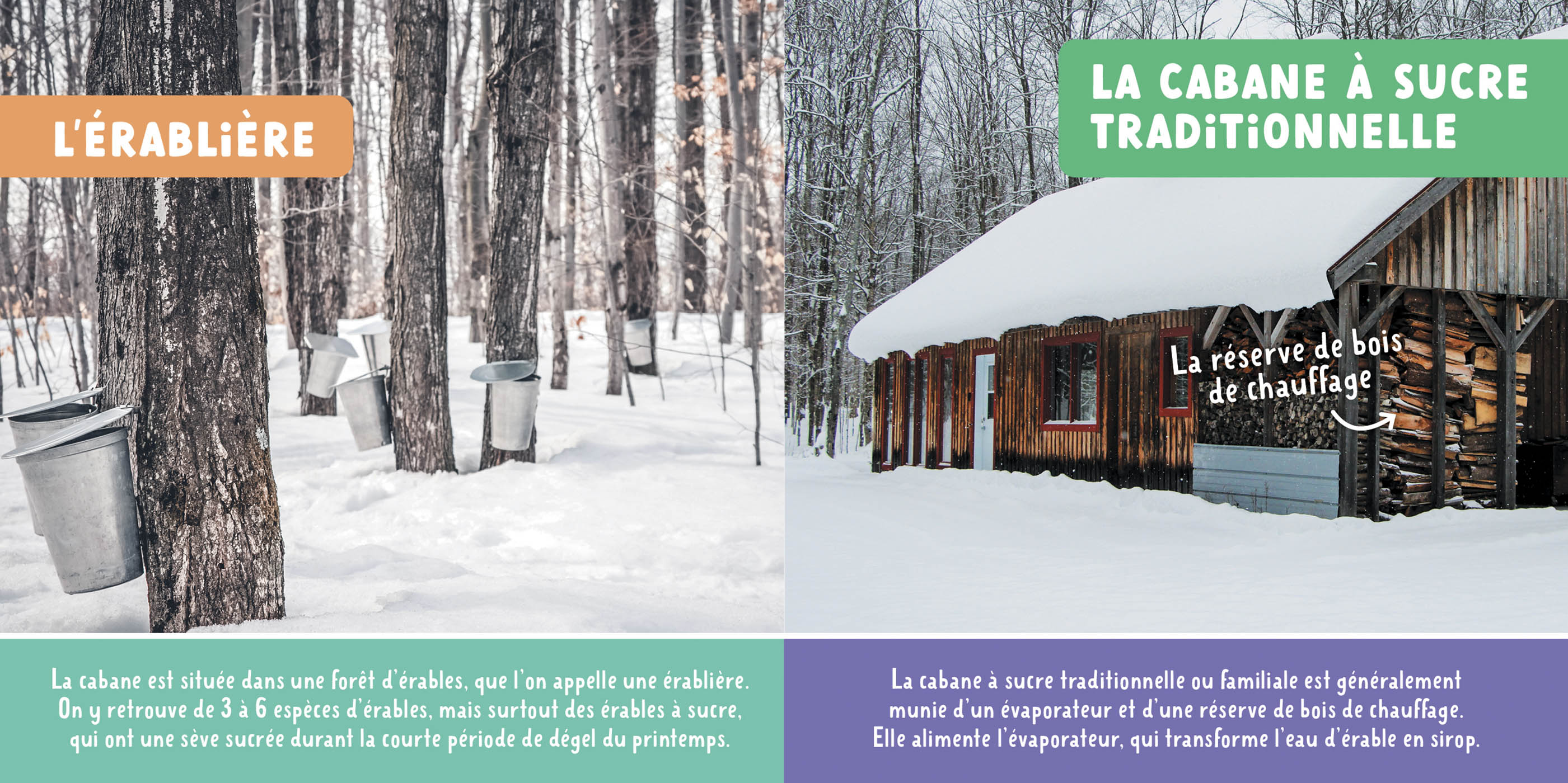 Mon Premier Doc Photo - La Cabane À Sucre - Nouvelle Édition 2027