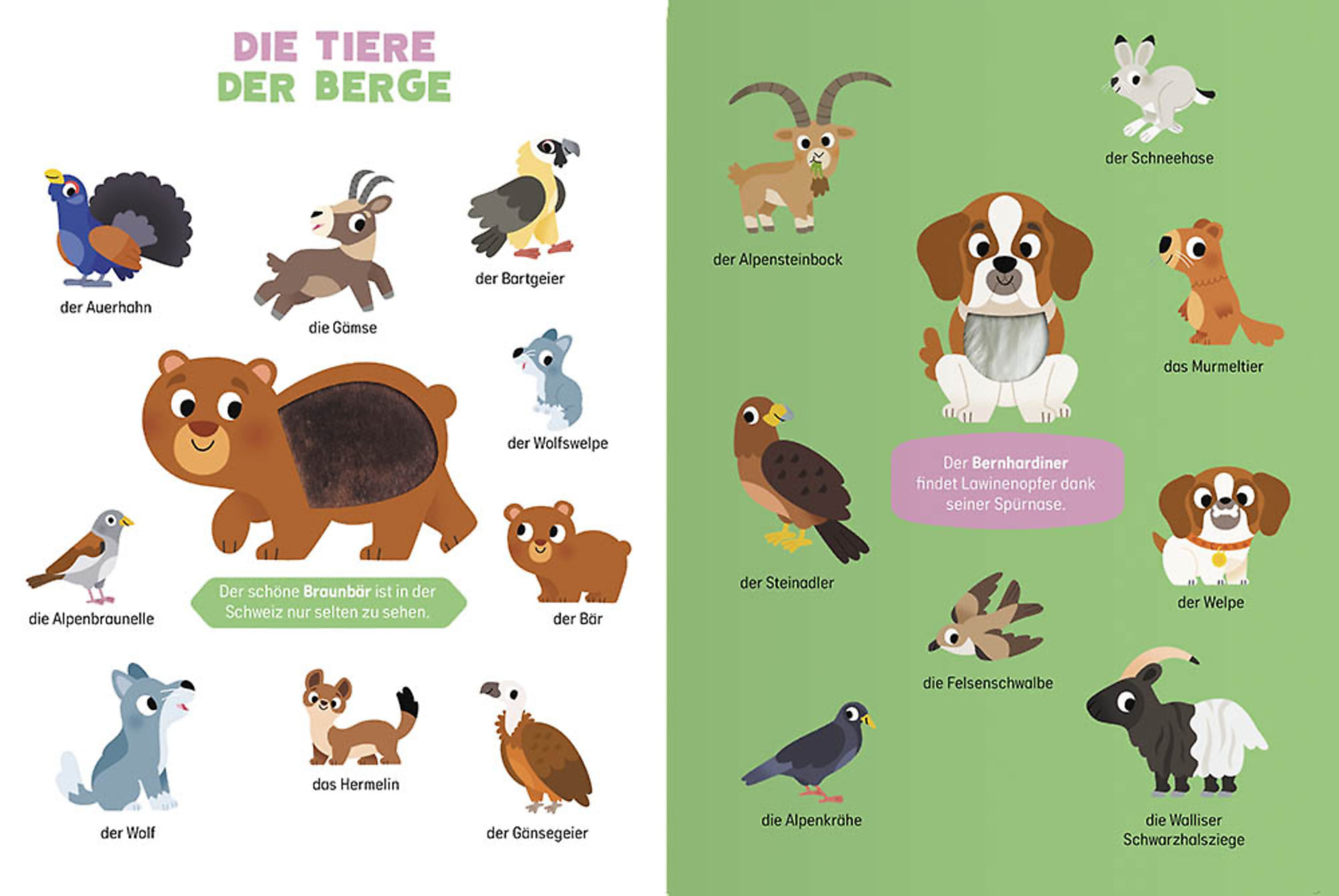 Spüren Und Berühren -  Ich Entdecke Die Schweizer Tiere