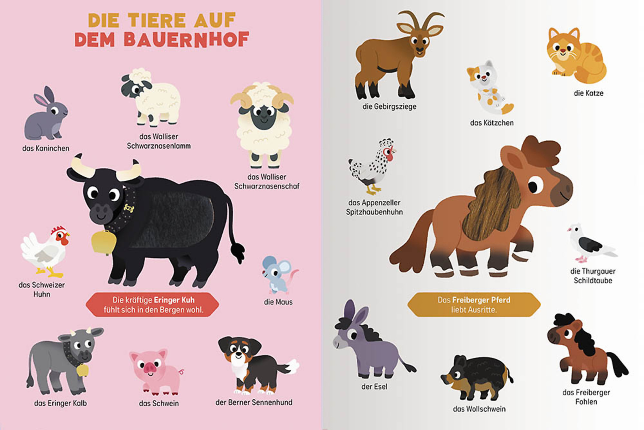 Spüren Und Berühren -  Ich Entdecke Die Schweizer Tiere