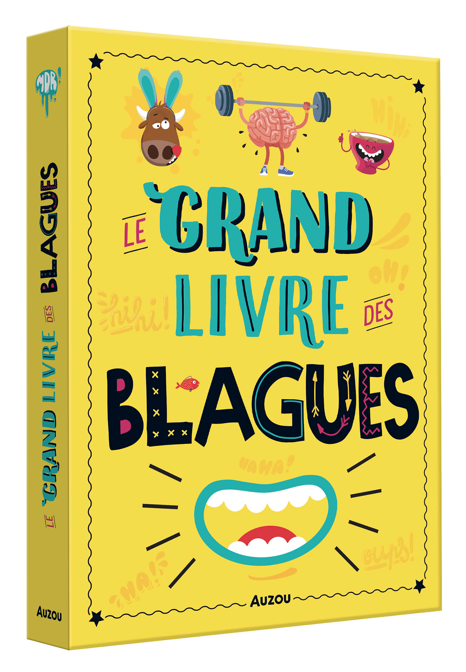 Le Grand Livre Des Blagues