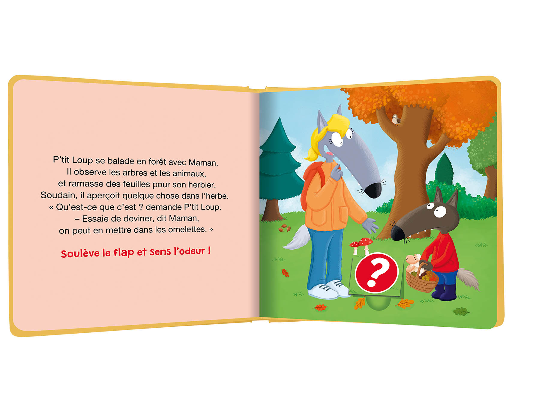 Mon Livre Des Odeurs Et Des Couleurs - P'tit Loup Mon Livre Des Odeurs Et Des Couleurs - P'tit Loup